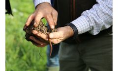Mzuri - Healthy Soils