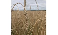 Agronomy Services