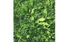 The Roots of Regenerative and Biological Farming