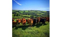 Livestock Integration Services