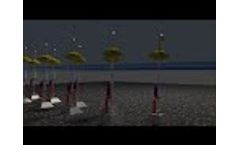 AOEanimation - Video
