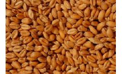 Hardcastle - Grain, Potato and Onion Storage