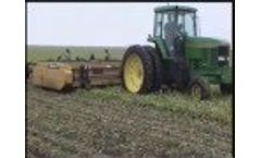 Alloway Standard Rigid Beet Defoliator - Video