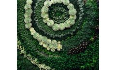 Life Cycle Assessment (LCA) Software