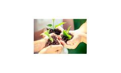 Soil Treatment Services