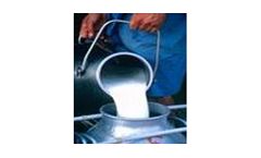 Milk Testing Service