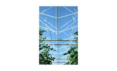Ammerlaan - Venlo Greenhouse
