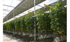 Alweco - Prevent Light Emissions for Greenhouse Horticulture