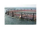 Technosea - Submersible Cage