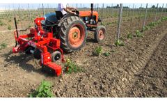 Rotary harrow inter row per piccoli trattori Cucchi ES - Video