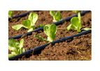 Drip Irrigation System