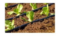 Drip Irrigation System