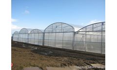Model MCB 99 - Multichapel Plastic Greenhouse