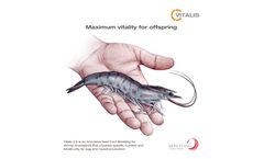 Skretting - Model 2.5 - Standardised Maturation Diet Vitalis Brochure