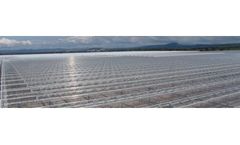 Greenhouse Roof Construction Services