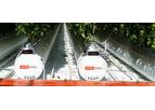 Climate-Controlled Greenhouse