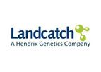 Innovative Salmon Breeding Services
