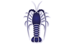Aquaculture and Fishing Solutions for Live Fish & Crustacean Transportation - Crustacean Transport