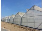 Asthor - Model Gothic - Greenhouse