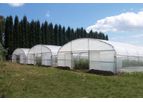 Asthor - Straight Wall Tunnel Greenhouse