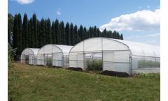 Asthor - Straight Wall Tunnel Greenhouse