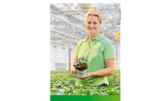 Green Life - Brochure
