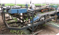 Havatec - Debulber for Singulation and Debulbing Section Processes