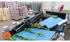 Havatec QB 2 0 with Lelys - Video