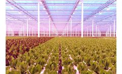 Van Der Hoeven Brings New Dimension To Controlled Environment Agriculture By Opening Office In The United States