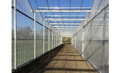 Holland Gaas - Netting Walls