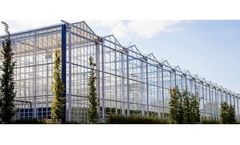 Venlo Greenhouses