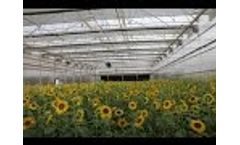 J.Huete has Developed the Project of Dupont Pioneer - Multicrop Technology Center of Seville Video