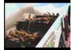 G3 Industrial Carrot Harvester (Carrot Harvester ) - Video