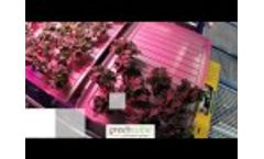 The Greencube Video