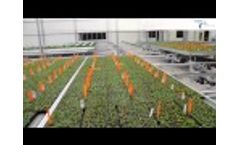 2D-Shuttle System Video