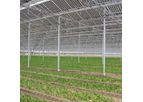 Horconex Solar Venlo - Solar Venlo Greenhouse Energy and Shade Solution