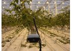 JBH - Strawberry Trough System