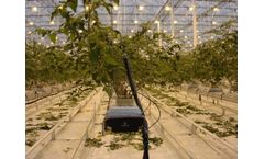 JBH - Steel Gutter System for Enhanced Vegetable Cultivation