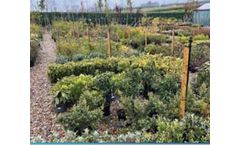 Access - Stock Bed Watering System