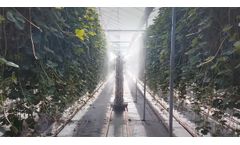Micothon - Mico Spray for Conventional Spraying