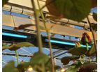 Micothon - Model Mico Light - UVC Crop Protection System