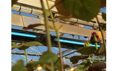 Micothon - Model Mico Light - UVC Crop Protection System