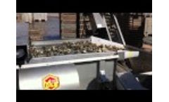 Oyster Seed Grading Video