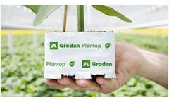 Grodan Plantop - Stonewool Block