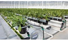 Grodan Grofit - Stonewool Growing System