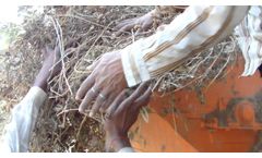 Guru nanak ground nut threasher babina - Video