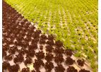 Fully Automated Leafy Green System