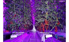 Indoor Farming Services