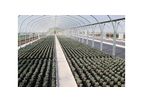 Ripple Aquaplast - Drip Irrigation Systems