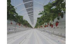 Richel - Plastic Photovoltaic Greenhouses